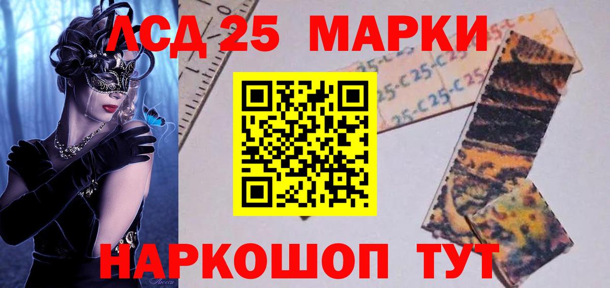 Псилоцибиновые грибы Зеленогорск