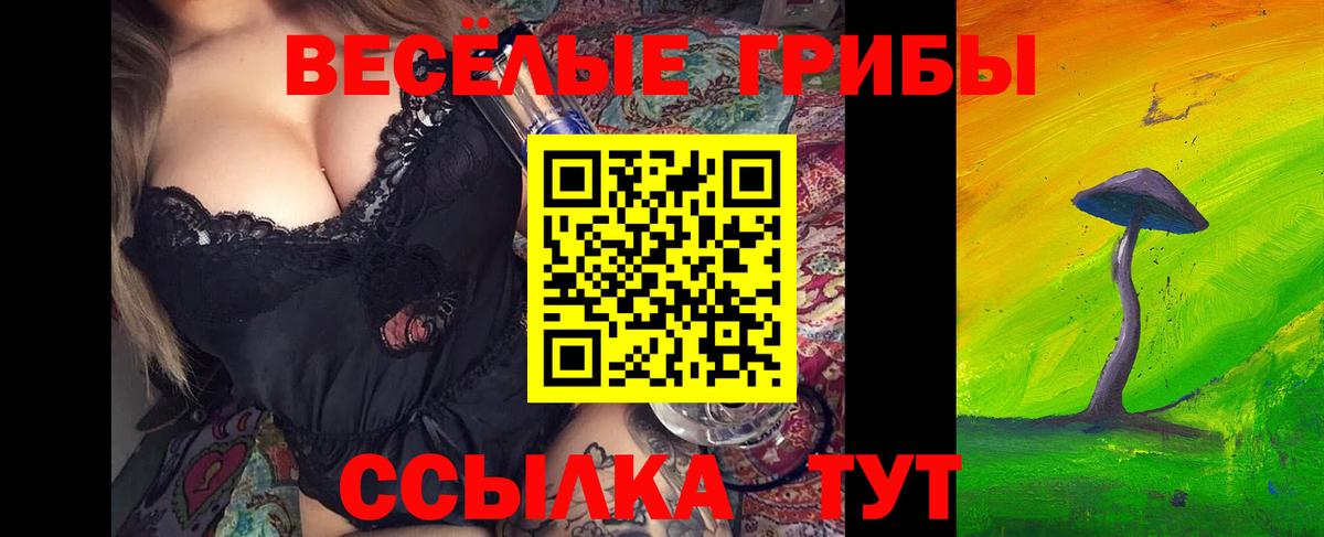 Зеленогорск  Псилоцибиновые грибы Psilocybe  Вход с VPN 